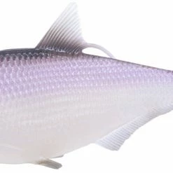 13 Fishing BAMF Shad Swimbait