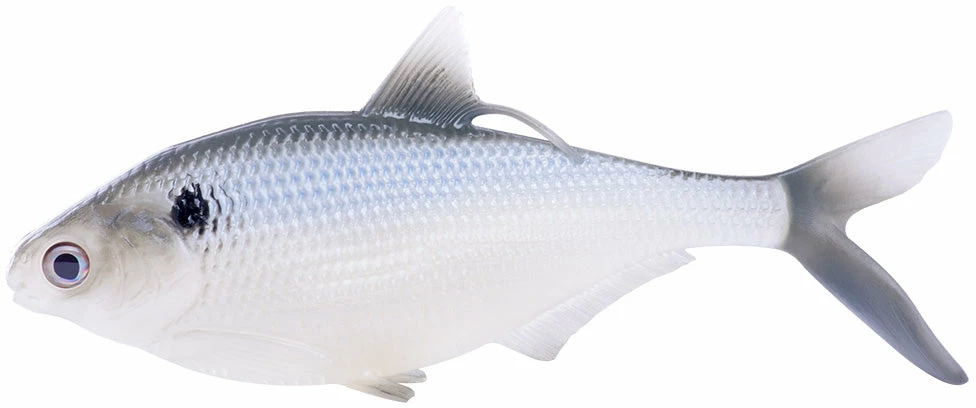 13 Fishing BAMF Shad Swimbait