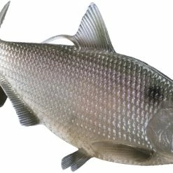 13 Fishing BAMF Shad Swimbait