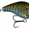 13 Fishing Scamp Square Bill Crankbait