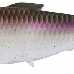 13 Fishing Dine Swimbait