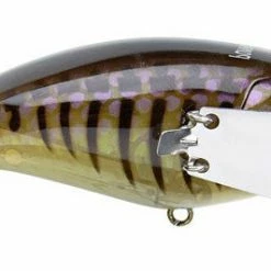 Jackall Pompadour Jr. Lures