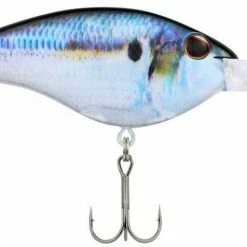Lures Berkley Frittside Crankbait