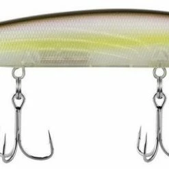 Lures Berkley Stunna Jerkbait