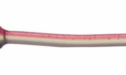 Big Bite Baits Squirrel Tail Worm