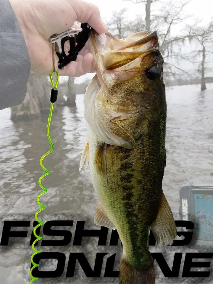 Kayak Fishing Cal Coast Fishing Donkey Leash Catch Keeper