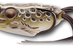 Live Target Hollow Body Frog Lures