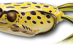 Live Target Hollow Body Frog Lures