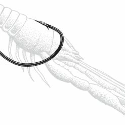 Owner Wide Gap Plus Hook Terminal Tackle