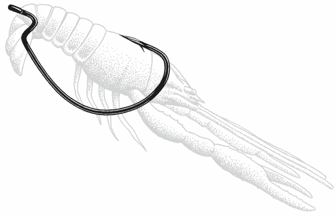 Owner Wide Gap Plus Hook Terminal Tackle