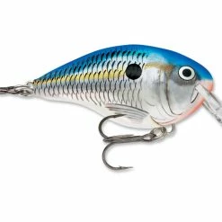 Lures Rapala DT (Dives-To) Series Crankbaits