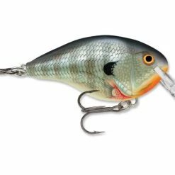 Lures Rapala DT (Dives-To) Series Crankbaits