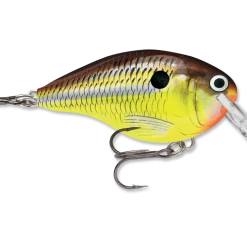 Lures Rapala DT (Dives-To) Series Crankbaits