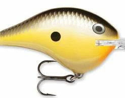Lures Rapala DT (Dives-To) Series Crankbaits