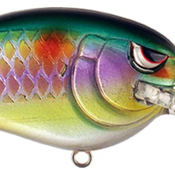 Lures SPRO Little John MD 50 Crankbait
