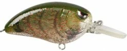 Lures SPRO Little John MD 50 Crankbait